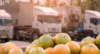 Dúvidas comuns sobre o transporte de produtos perecíveis