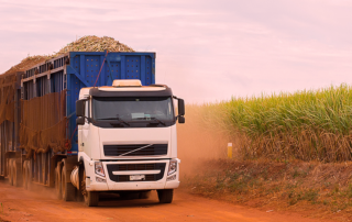 transporte-de-graos