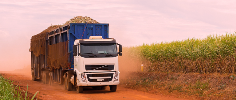 transporte-de-graos
