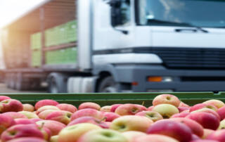 logistica-de-alimentos-eficiente