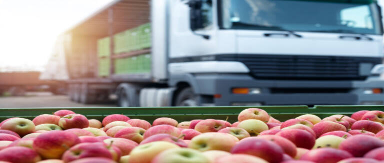 logistica-de-alimentos-eficiente
