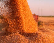fretes-do-agro
