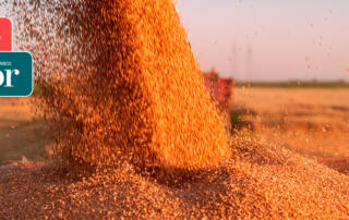 fretes-do-agro