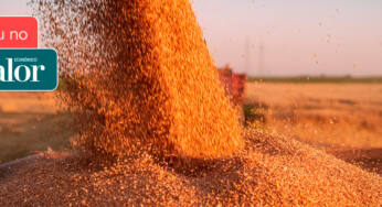 Volume de fretes do agro cresce 25,9% em 2022, diz Fretebras