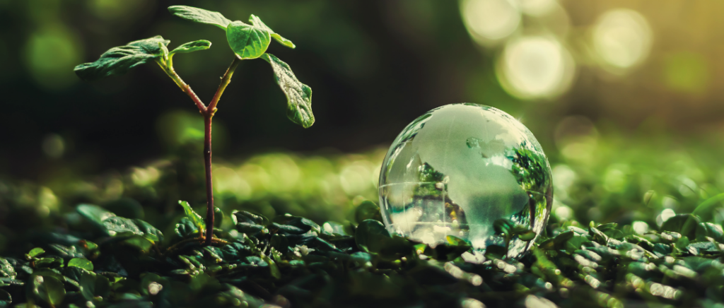 Ao lado esquerdo, uma pequena planta está em crescimento numa plantação. Ao lado direito, uma gota de água em tamanho ampliado reflete a imagem da plantinha e da área verde, ilustrando os impactos das mudanças climáticas no agronegócio.