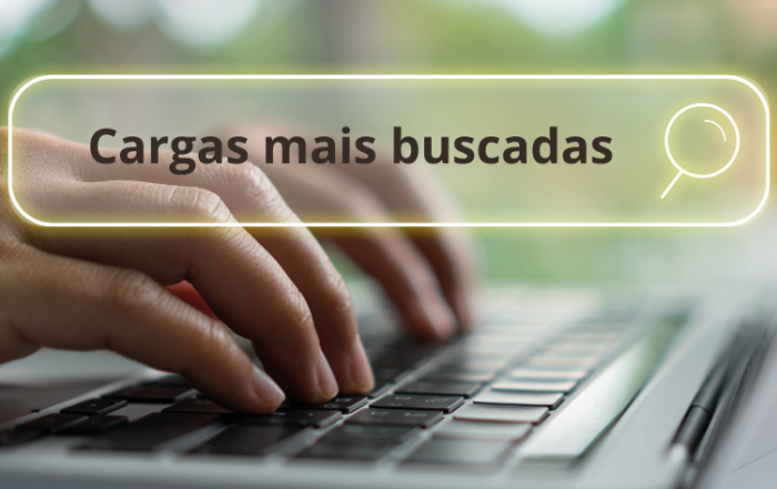 Uma pessoa está digitando em um notebook. Ela está pesquisando quais são os tipos de cargas mais buscadas no transporte rodoviário.