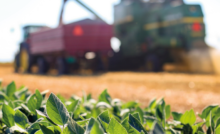 A imagem mostra em primeiro plano plantações prontas para serem colhidas. Ao fundo, desfocado, tem um caminhão de grade alta sendo abastecido, representando o frete agrícola.