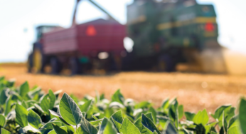 O frete agrícola em 2025 e o preço dos alimentos