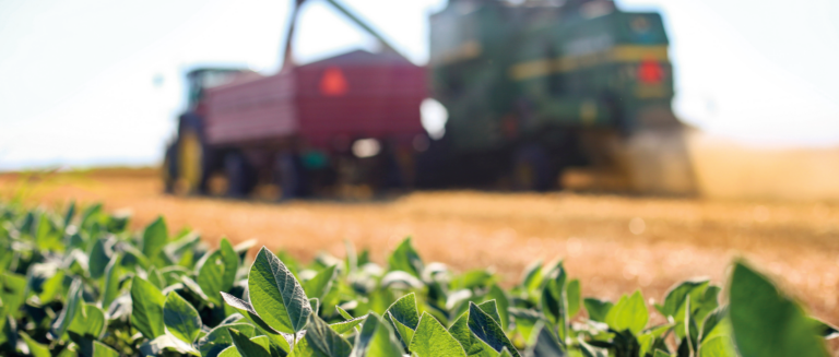 A imagem mostra em primeiro plano plantações prontas para serem colhidas. Ao fundo, desfocado, tem um caminhão de grade alta sendo abastecido, representando o frete agrícola.