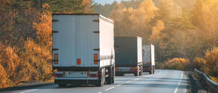 A imagem mostra uma estrada com caminhão baú. São 3 veículos indo na mesma direção, um atrás do outro. É possível ver a parte traseira de todos eles. A pista tem árvores grandes tanto do lado esquerdo como do direito.